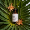 Roxanol product image